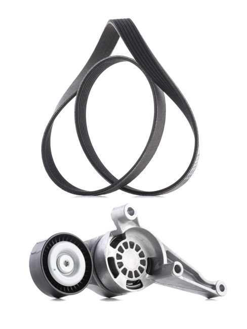 OEM 03G903315C RIDEX PLUS Kit Cinghie Poly-V 542R0115P per VOLKSWAGEN, AUDI, FORD, CITROЁN, SEAT