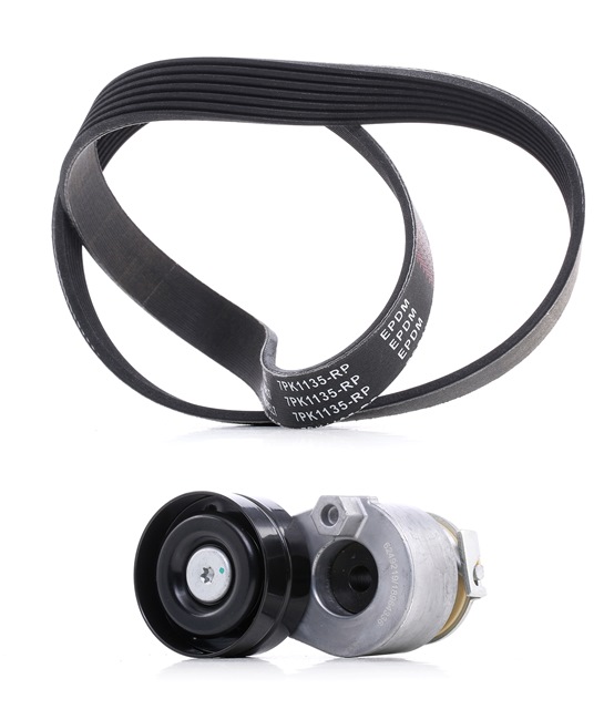 OEM 7701477520 RIDEX PLUS Kit Cinghie Poly-V 542R0421P per RENAULT, DACIA
