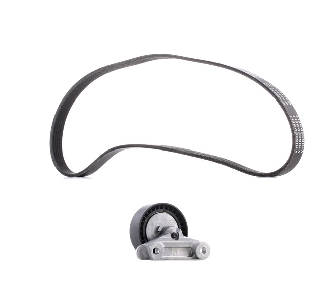 OEM 04C260849E RIDEX PLUS Kit Cinghie Poly-V 542R0462P per VOLKSWAGEN, AUDI, SEAT, SKODA, AC