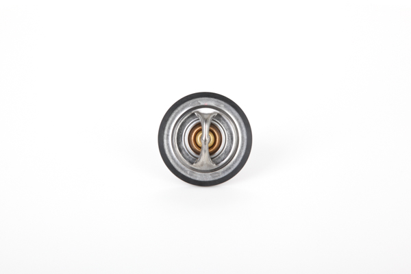 KIA MOHAVE / BORREGO 2012 Thermostat 28.0200-4137.2