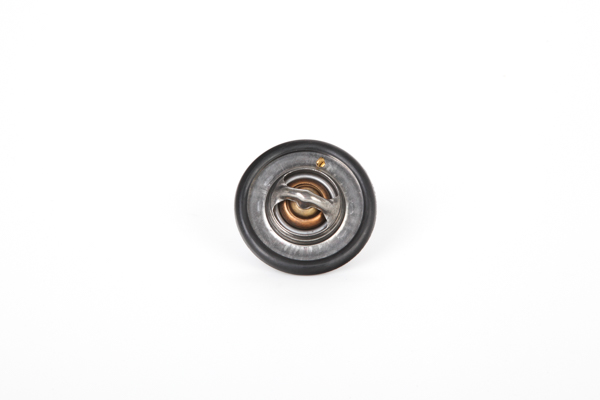 OEM GTS301 Continental Termostato, refrigerante 28.0200-4160.2 para SKODA, LAND ROVER, MG, ROVER