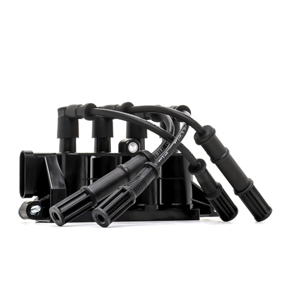 OEM 138727 RIDEX PLUS Bobina d'accensione 689C0290P per