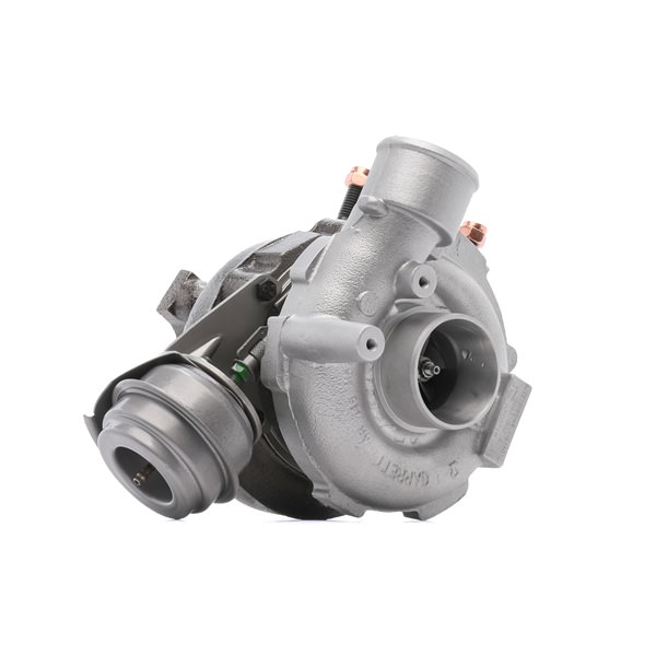 Turbocharger (2234C10171R) van RIDEX REMAN Voor RENAULT MODUS / GRAND MODUS (F/JP0_) 1.2 (JP0C, JP0K, FP0C, FP0K, FP0P, JP0P, JP0T) (55 KW / 75 PK / Van 2004)