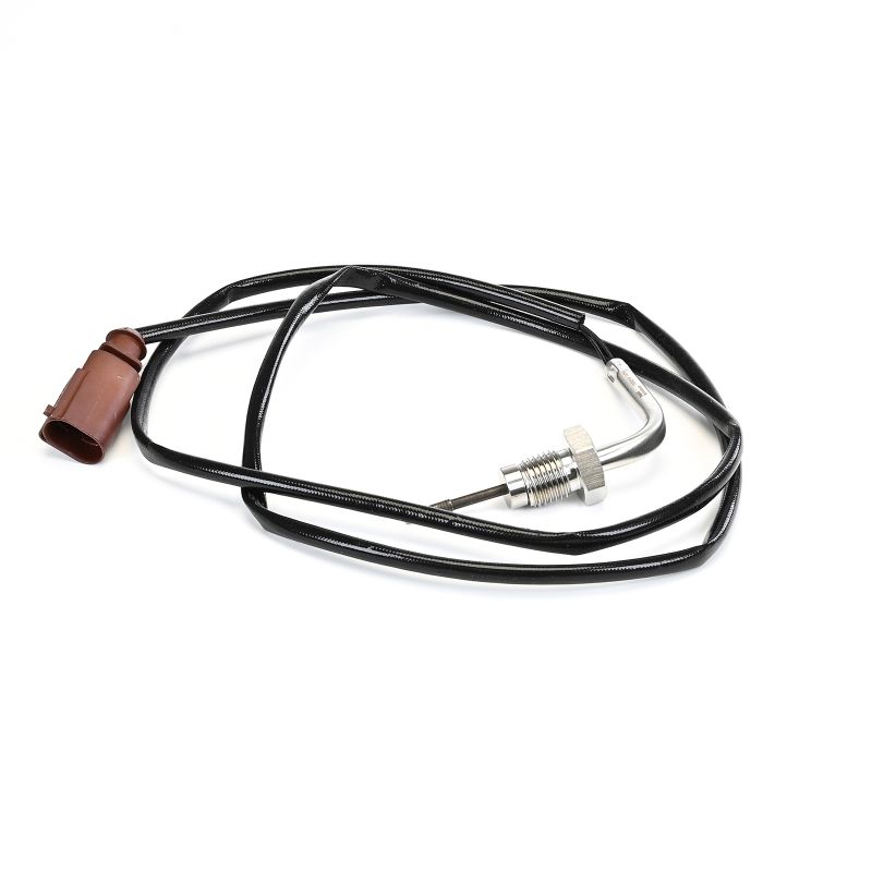 DELPHI Sensor, temperatura dos gases de escape (TS30319-12B1) para VW Multivan VI (SGF, SGM, SGN) 2.0 TDI (146 KW / 199 CV / de 2018)