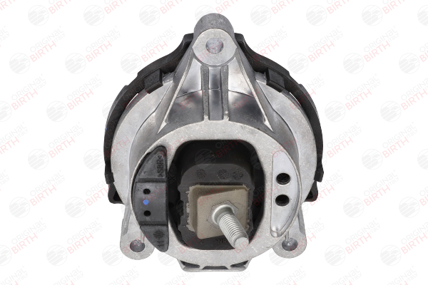 comprare Supporto motore - BIRTH (53570)