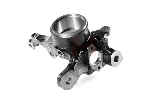 GH Mangueta de suspensión (GH-291595V) para BMW X5 (E53) 4.4 i (210 KW / 286 CV / de 2000)