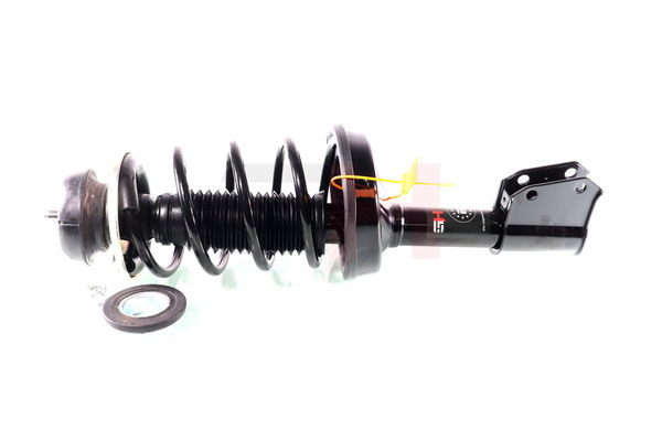 OEM 5432500Q0A GH Jambe de suspension GH-353989C03 pour RENAULT, PEUGEOT, NISSAN