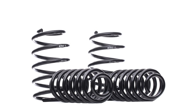 VW Passat Variant (33B) 1.6 Fahrwerksatz, Federn E10-85-022-02-22