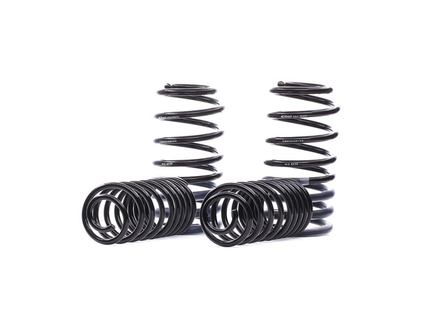 MAN TGE Box (UY_) 2.0 TDI (UYB, UYC, UYD, 01V, 09V, 03V, 10V) Suspension kit, coil springs E8502-140