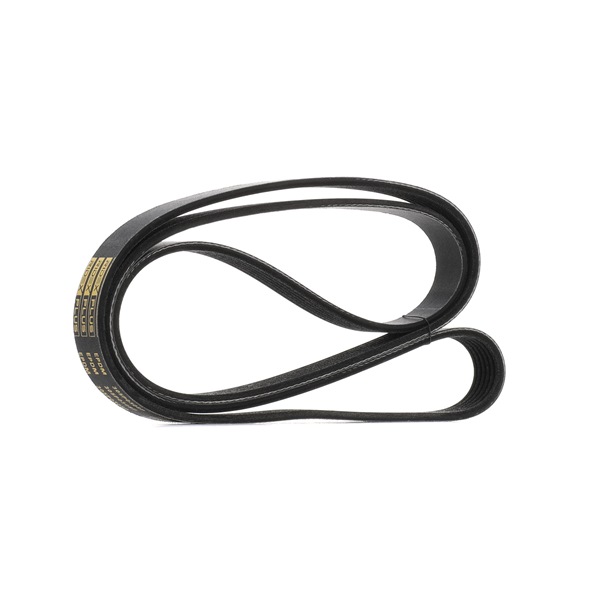 OEM 1340A193 RIDEX PLUS Moniurahihna 305P0308P varten TOYOTA, FORD, PEUGEOT, CITROЁN, FIAT