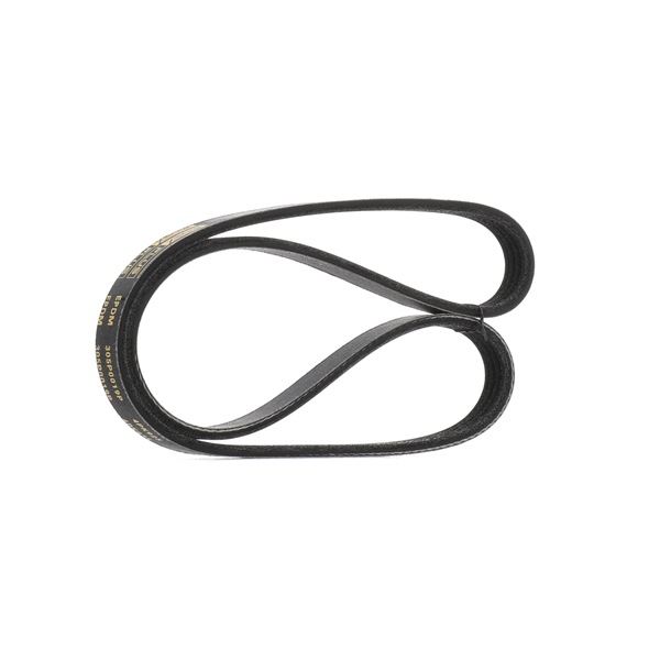 OEM MD172376 RIDEX PLUS Correia trapezoidal estriada 305P0019P para MITSUBISHI, MAZDA, KIA, SUZUKI, CHRYSLER