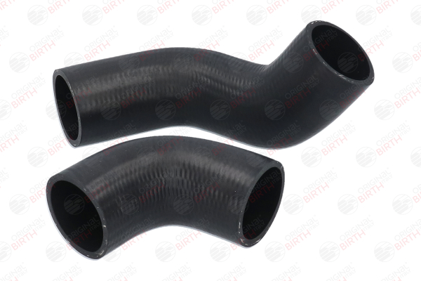 Tubo flexible de aire de sobrealimentación BIRTH 55570 para FIAT STILO 2009