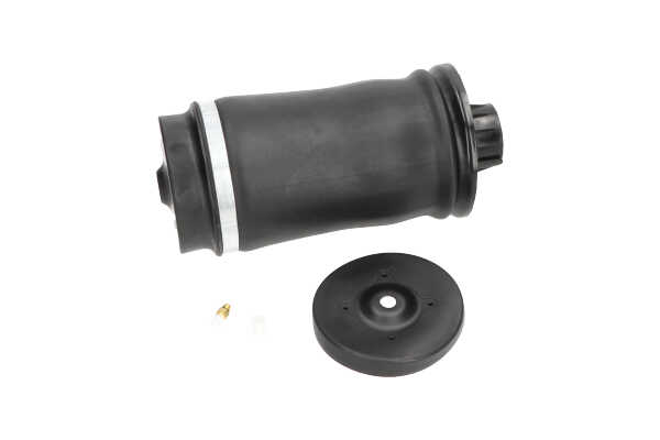 OEM A1663200325 KAVO PARTS Ilmajousi SAS-10006 varten MERCEDES-BENZ