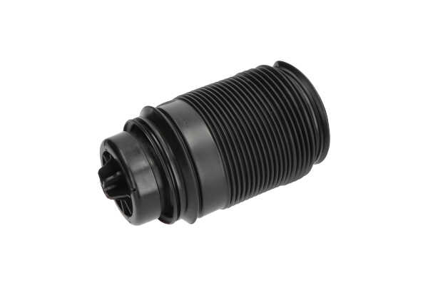 OEM A2123204025 KAVO PARTS Ilmajousi SAS-10019 varten MERCEDES-BENZ