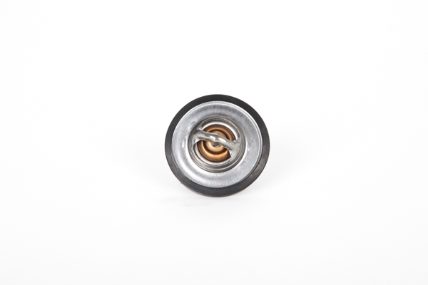 131 Thermostat 28.0200-4129.2 Continental