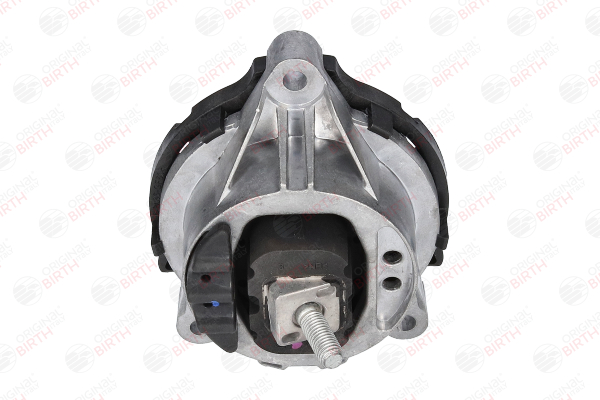 comprare Supporto motore - BIRTH (53576)