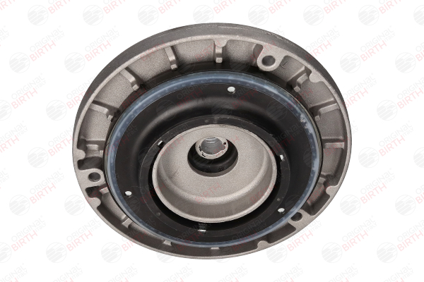 OEM 31306852167 BIRTH Supporto ammortizzatore 53765 per BMW
