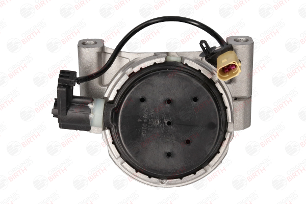 comprare Supporto motore - BIRTH (57009)
