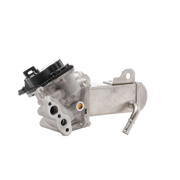 OEM 1618NQ HITACHI EGR-ventil 2508461 for VOLVO, FORD, PEUGEOT, CITROЁN, DS