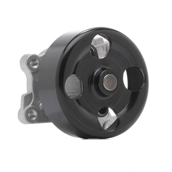 OEM B1010EN20B RIDEX Vesipumppu 1260W0725 varten NISSAN, RENAULT, ALFA ROMEO, DACIA, INFINITI
