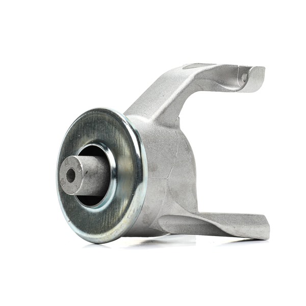 Moottorin tuki (247E1101) alkaen RIDEX varten VW Multivan V (7HM, 7HN, 7HF, 7EF, 7EM, 7EN) 2.0 TSI 4motion 204 HV