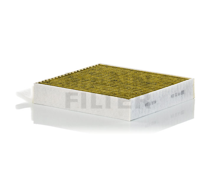 EQE Kupéfilter FP 25 034-2 MANN-FILTER