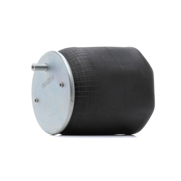 OEM 1270603 RIDEX Molla pneumatica 4119A0139 per VOLVO