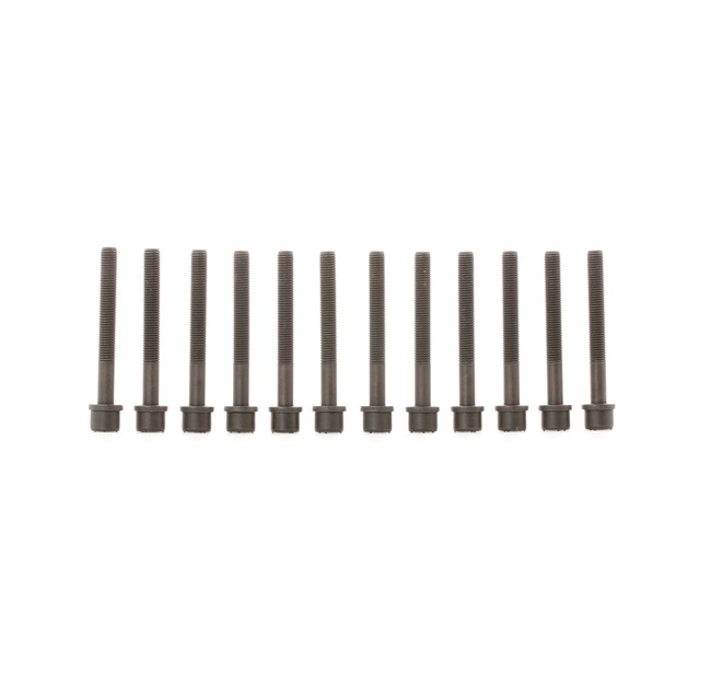 OEM 049103384B ELRING Topplokksbolter 819.850 for VW, AUDI, SKODA, SEAT, CUPRA