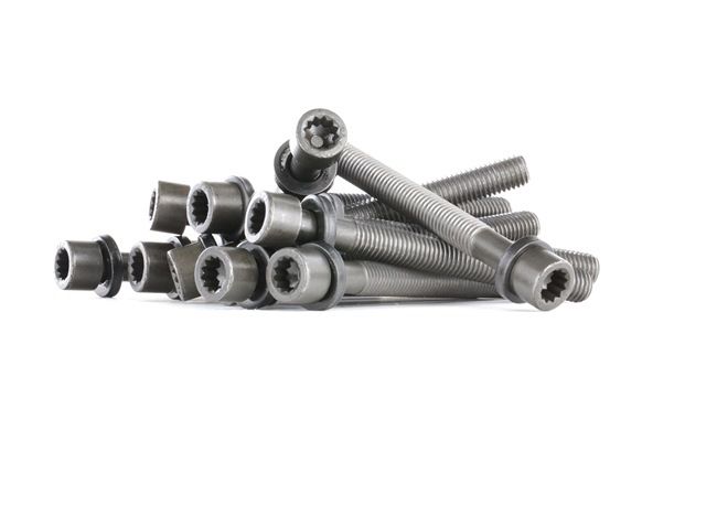 OEM 068103384A ELRING  Zylinderkopfschraubensatz 819.891 für VW, AUDI, FORD, SKODA, SEAT