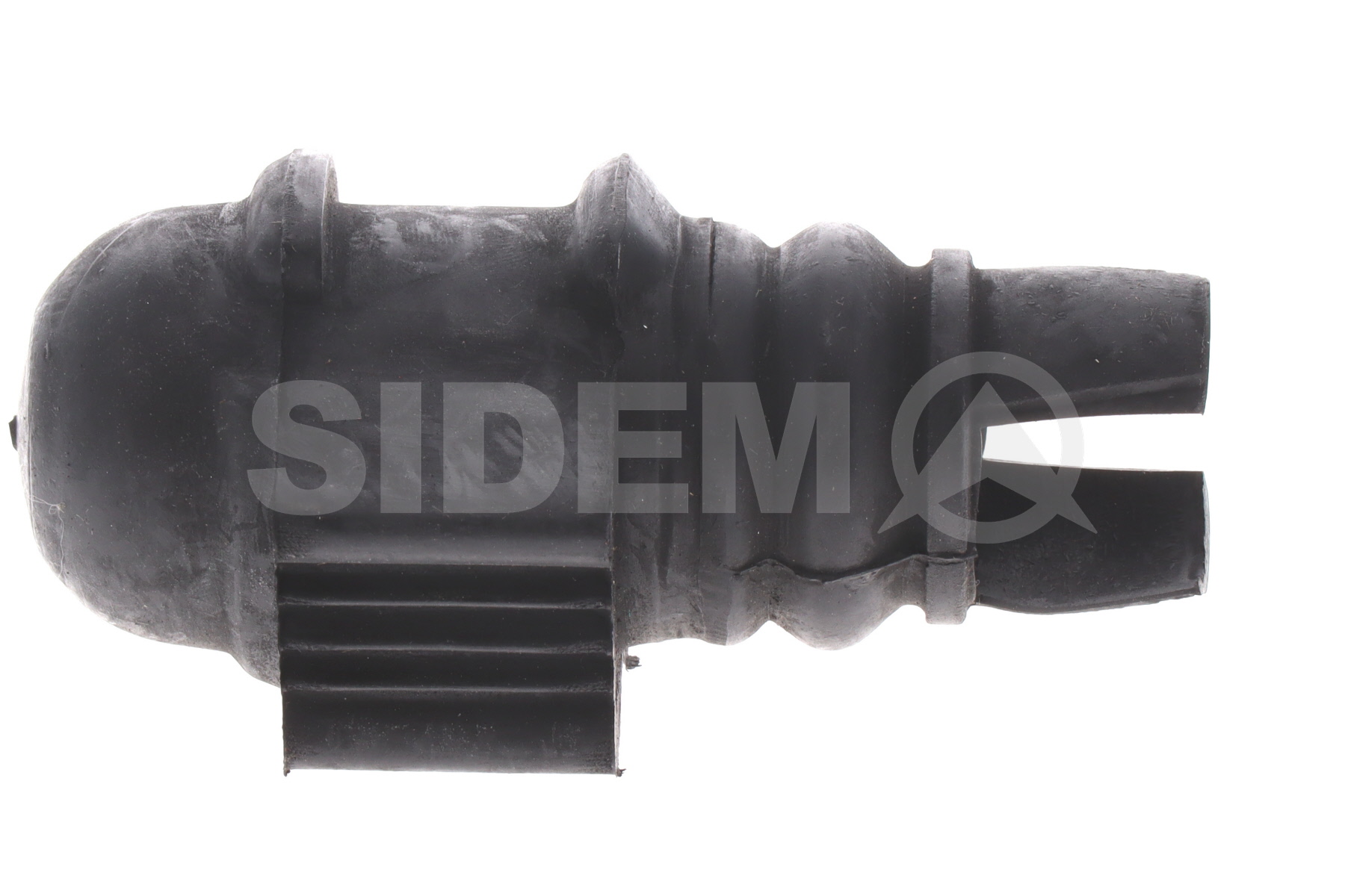 RENAULT SCÉNIC 2002 Gommino barra stabilizzatrice 805829