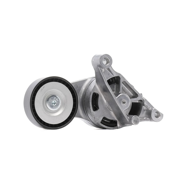 Spanner, Poly V-riem (540T0017P) van RIDEX PLUS Voor VW Passat Variant (3C5) 2.0 TDI (90 KW / 122 PK / Van 2005)