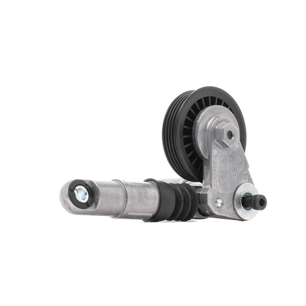 OEM 038903315D RIDEX PLUS Hihnankiristin, moniurahihna 541V0024P varten VW, AUDI, SKODA, SEAT