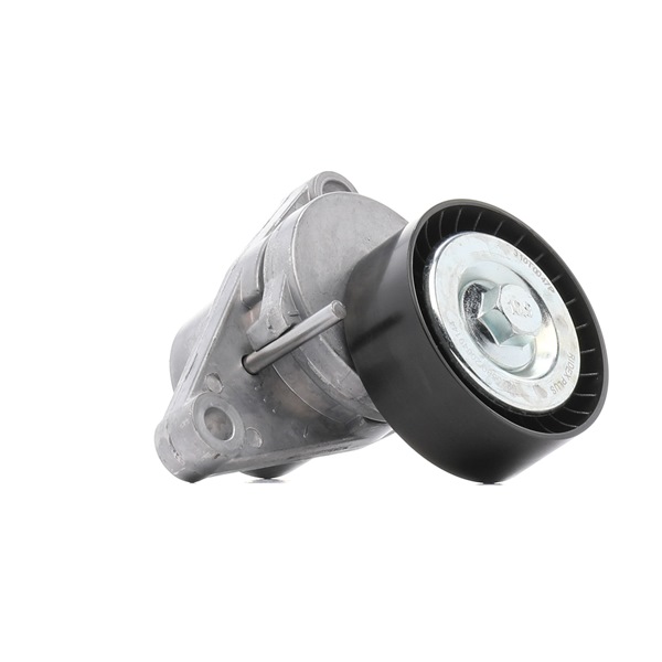 Spanrol, poly V-riem (310T0047P) van RIDEX PLUS Voor CITROËN C3 II (SC_) 1.1 i (44 KW / 60 PK / Van 2009)