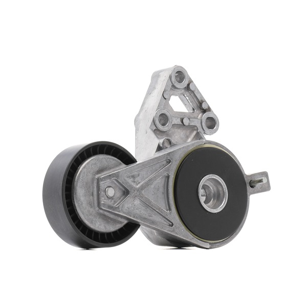 OEM 06A903315E RIDEX PLUS  Spannarm, Keilrippenriemen 540T0009P für VW, AUDI, SKODA, SEAT, PORSCHE