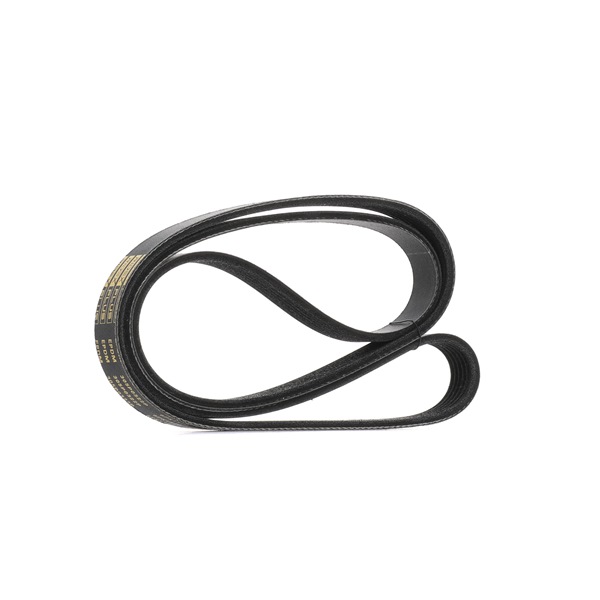Multiriem (305P0322P) van RIDEX PLUS Voor VW Amarok Flatbed Vrachtwagen / Chassis (S1B, S6B, S7B) 2.0 BiTDI 4motion (132 KW / 180 PK / Van 2011)