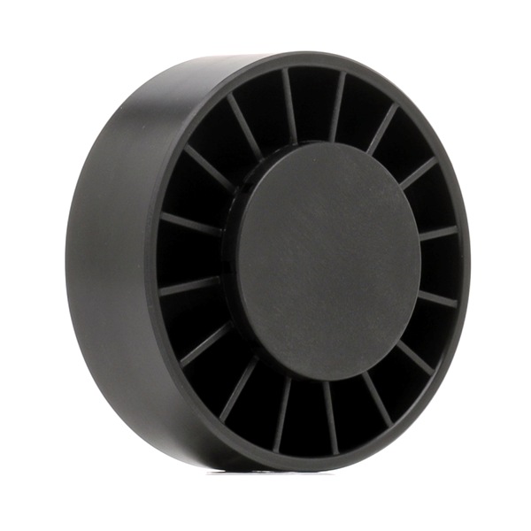Spanrol, poly V-riem (310T0003P) van RIDEX PLUS Voor VW LT 28-46 II Flatbed Vrachtwagen / Chassis (2DC, 2DF, 2DG, 2DL, 2DM) 2.8 TDI (96 KW / 130 PK / Van 1999)
