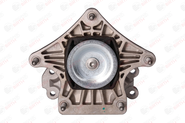 OEM 2222400000 BIRTH Supporto, Cambio 57037 per MERCEDES-BENZ