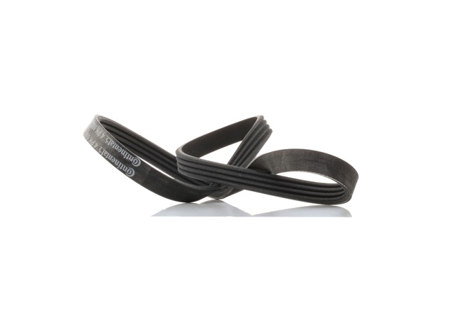 SAXO Multiriem 4PK860 CONTITECH