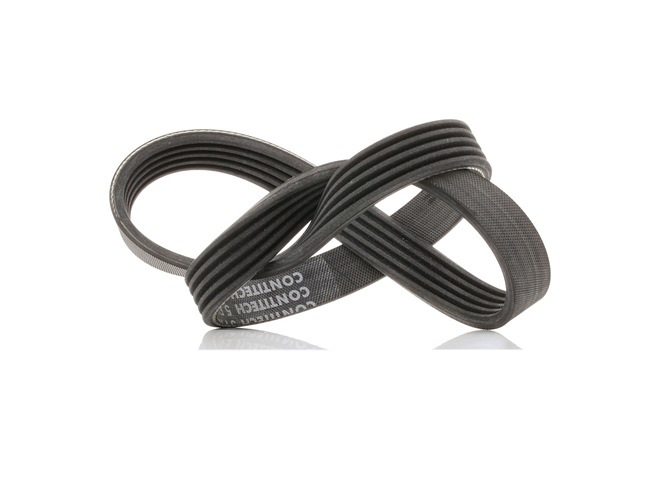 924 Serpentine belt 5PK736 CONTITECH