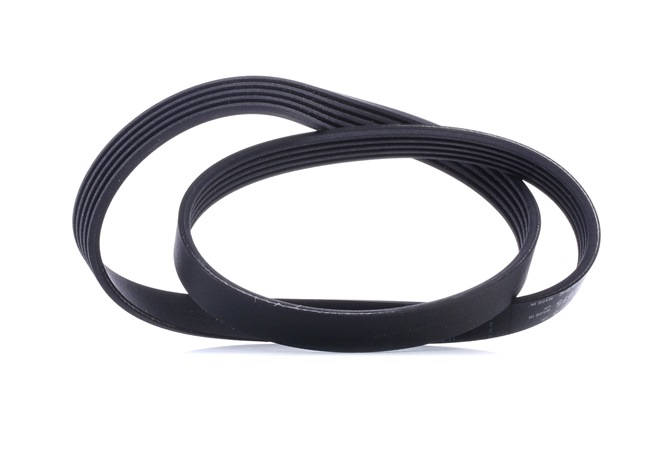 NOVA Courroie Poly-V 5PK975 CONTITECH
