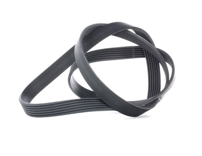 CONTITECH Multiriem 6PK1564