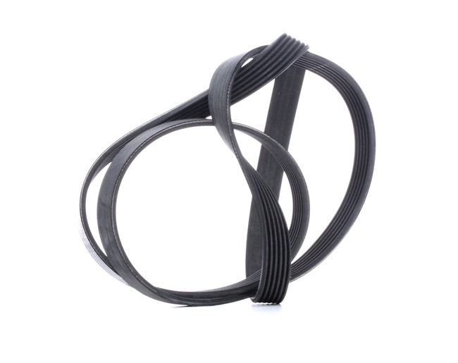NEMO Multiriem 6PK1670 CONTITECH