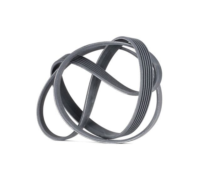 OEM 7700735904 CONTITECH Correa trapecial poli V 6PK1693 para VOLKSWAGEN, SEAT, RENAULT, AUDI, PEUGEOT