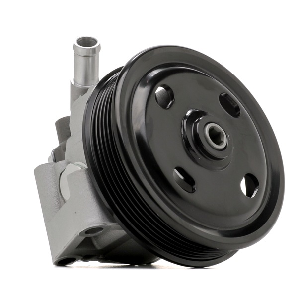 RIDEX Servopumpe (12H1009) in erstklassiger Qualität für FORD Transit Custom V362 Bus (F3) 2.0 EcoBlue (77 KW / 105 PS / de 2015)
