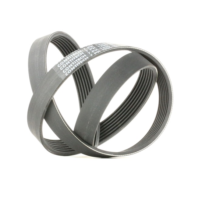 OEM 021145933C CONTITECH Cinghia servizi 7PK1290 per VOLKSWAGEN, MERCEDES-BENZ, AUDI, SEAT, SKODA