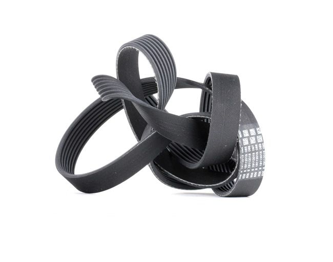 FR-V Correia trapezoidal estriada 7PK1785 CONTITECH