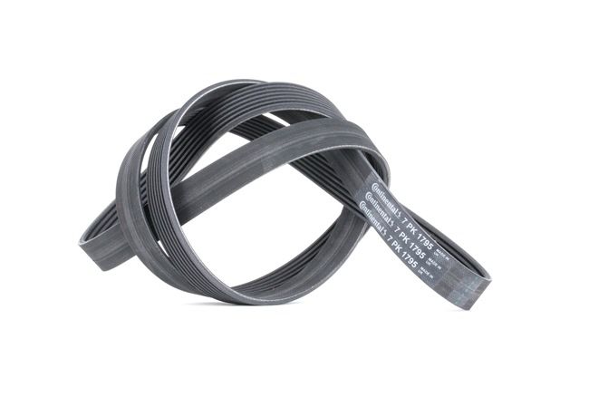 CONTITECH Multiriem 7PK1795