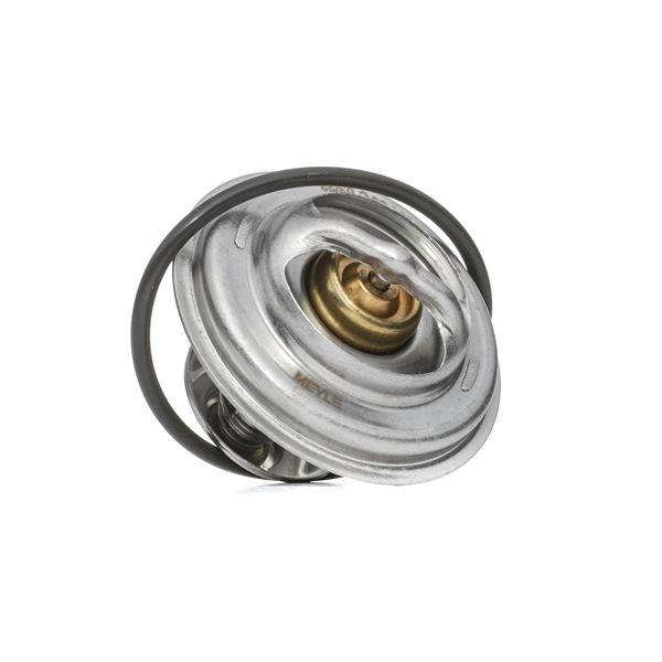 OEM 1713040 MEYLE Termostato motore 028 280 0004 per BMW