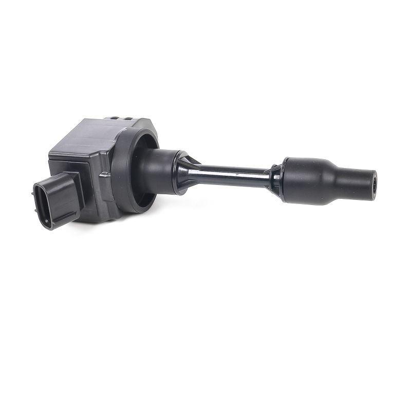 comprar Bobina de encendido - DELPHI (GN11113-12B1)