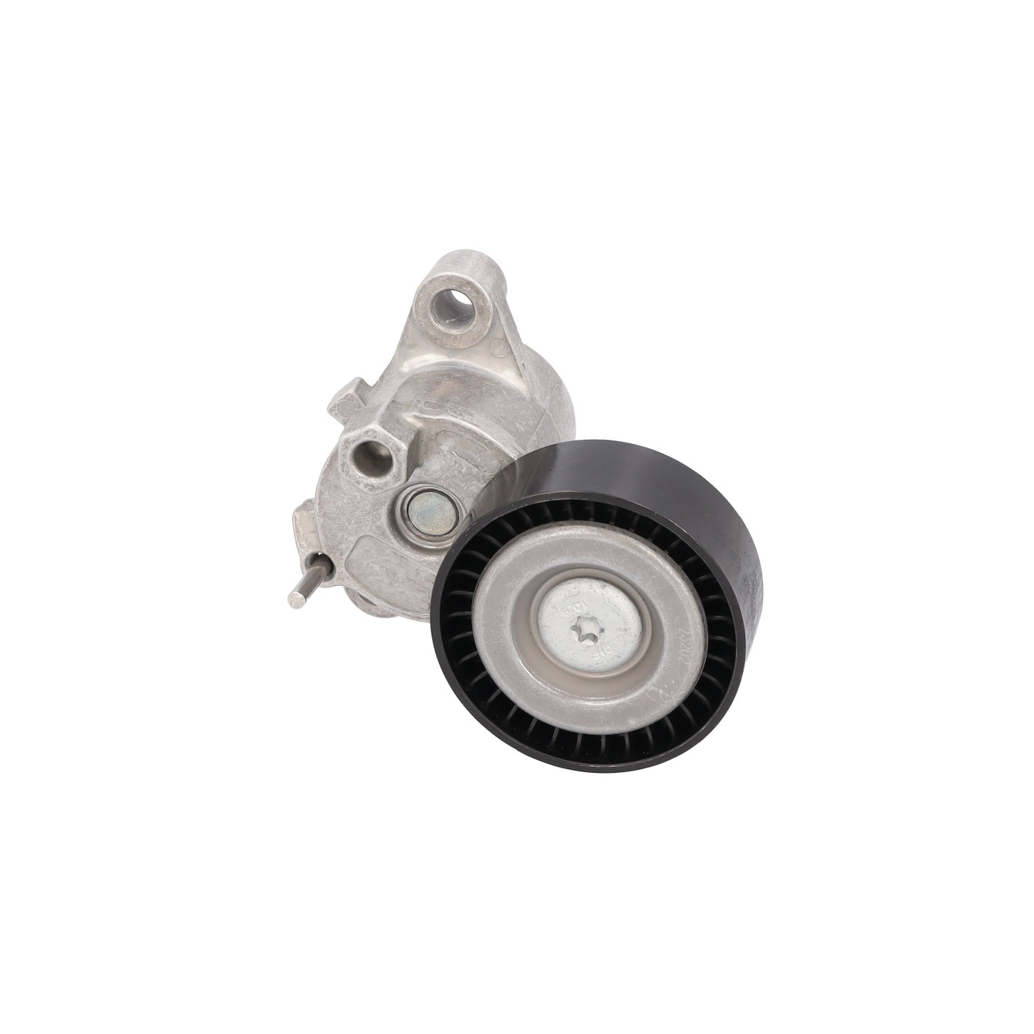 FORD FOCUS 2025 Riemspanner, Poly V-riem 186379